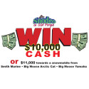 WIN $10,000 CASH or $11,000 towards a future order, in-stock or used snowmobile